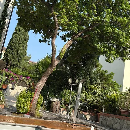 Apartment Flore - Oasi Di Relax In Un Elegante Genoa